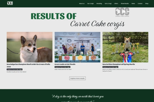 Képernyőkép 2026-02-17 162353