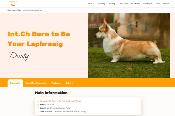 Képernyőkép 2026-02-17 162454