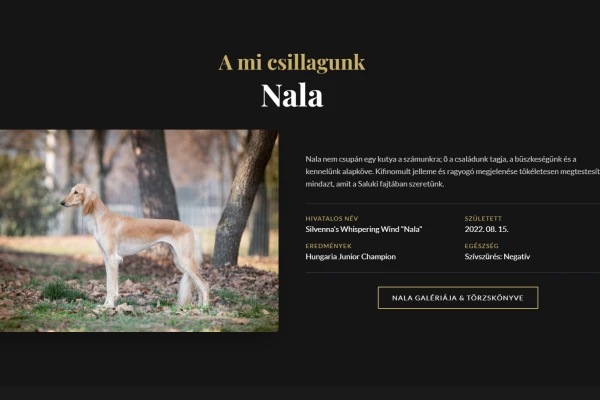 Képernyőkép 2026-02-17 162742